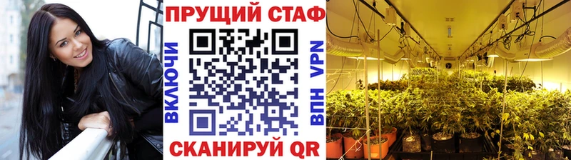 Продажа наркотиков Калуга Галлюциногенные грибы  Канабис  Кокаин  APVP  KRAKEN   Гашиш  АМФЕТАМИН  Мефедрон 