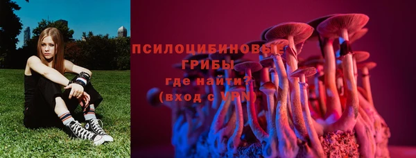 дурь Богородицк