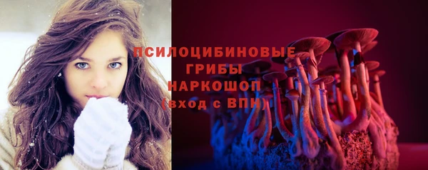 apvp Богданович