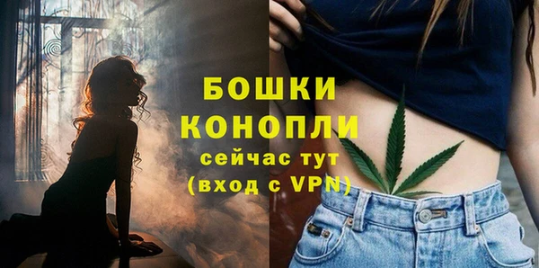 apvp Богданович