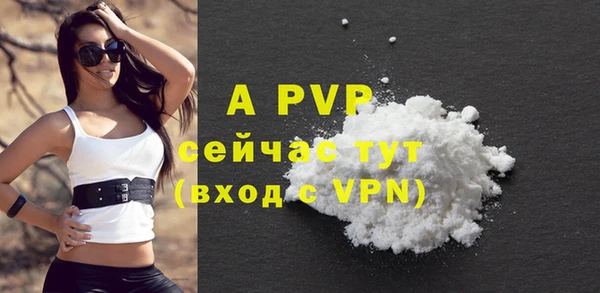 apvp Богданович